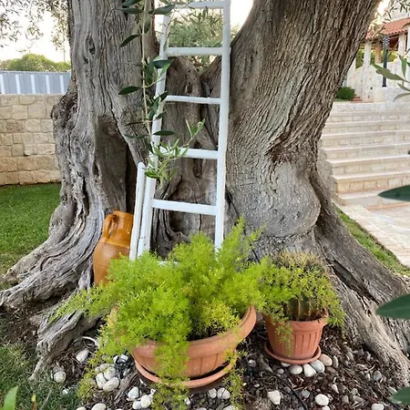 Trulli Del Relax 卡斯特拉纳格罗泰