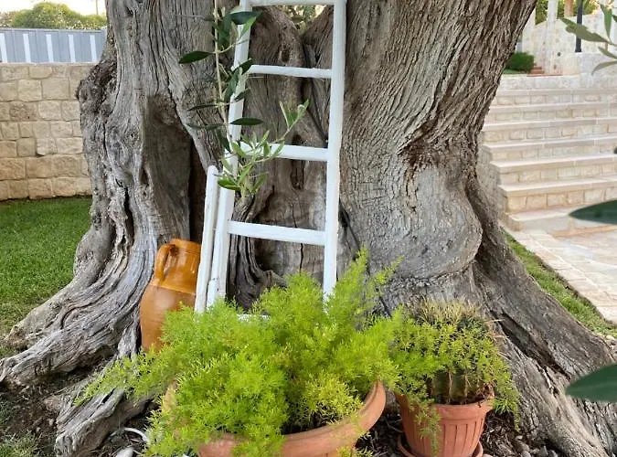 Trulli Del Relax Castellana Grotte